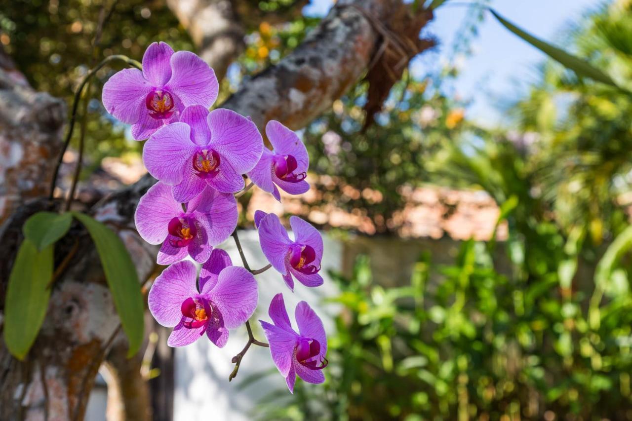 Victor Hugo Pousada Com Natura E L'Occitane Santo André Esterno foto