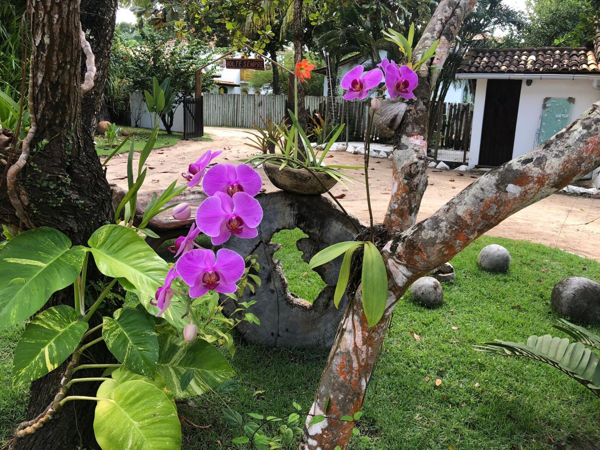 Victor Hugo Pousada Com Natura E L'Occitane Santo André Esterno foto